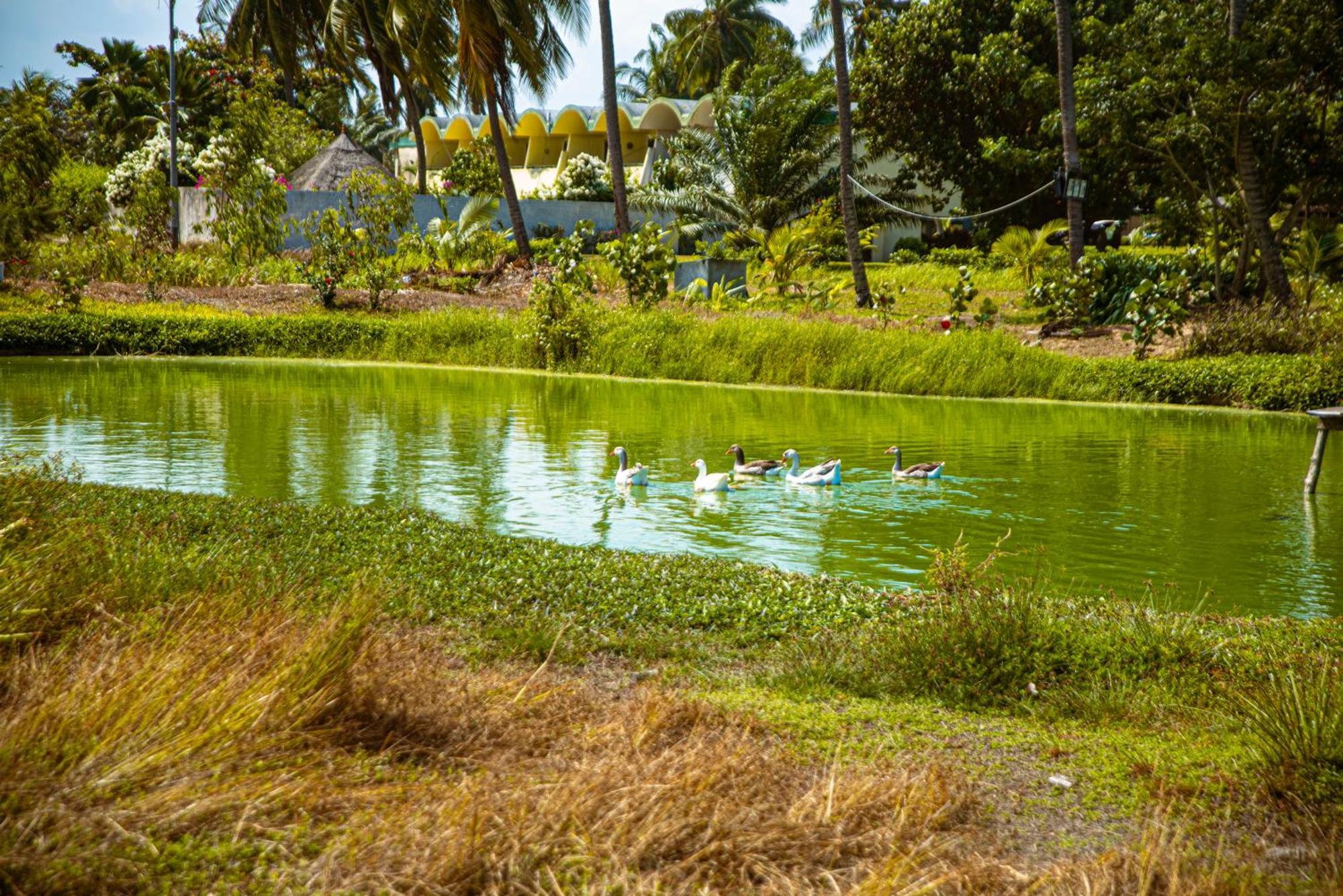 Hotel Sarakawa Lomé Exterior foto